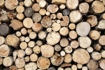 pile of wood background