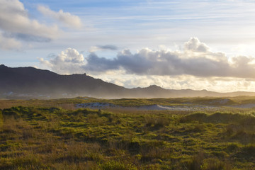 Paisaje campestre soleado cerca del mar con riachuelos, humedales y entorno natural.
