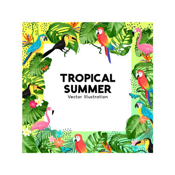 Tropical Jungle Background Border Design