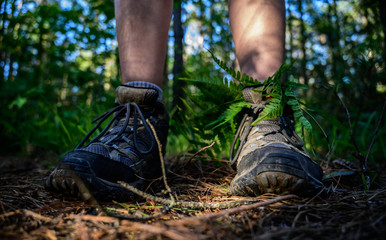 Hiking boots isolated on a trail