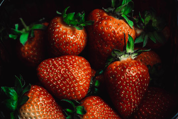 Fresh juicy strawberries with leaves. Strawberry on a red background