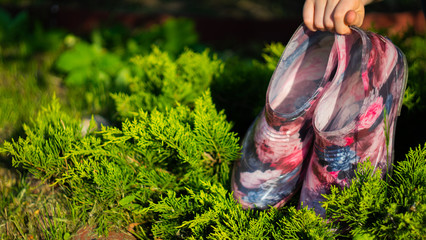 hand holds pink rubber boots on grass. gardening and countryside work concept.
