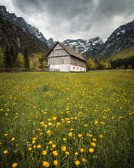 old wooden building in Robanov kot - Slovenia