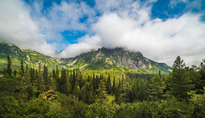 Fototapeta na wymiar Mountain Landscape with Lush Vegetation and Cloudy Sky during the Day. Mengusovska Valley, High Tatras, Slovakia