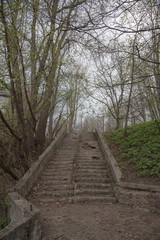Old stairs in the park, with ruined, crumbling and grass-covered steps. Gloomy, mystical toning.