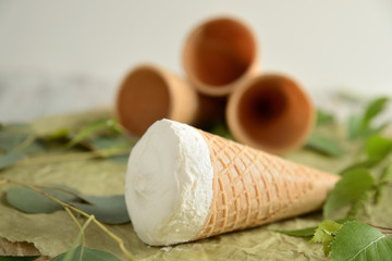 vanilla ice cream in a waffle cup, on a background of green leaves