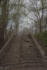Old stairs in the park, with ruined, crumbling and grass-covered steps. Gloomy, mystical toning. Concept of devastation.