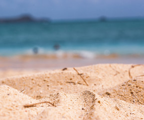Beach Life