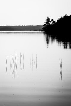 Mary Jo Lake silloette