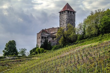 Fototapeta na wymiar Burg Lichtenberg, Oberstenfeld, Deutschland, Europa