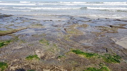 praia, ondas, mar, férias, pedras, rochas, musgo, torres, natureza