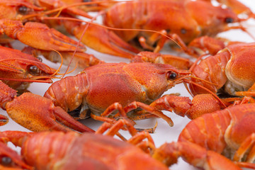Tasty, boiled crawfishes of red color. Closeup. Selective focus.