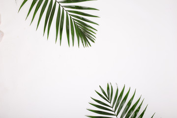 Tropical palm leafs on white background. Flat lay