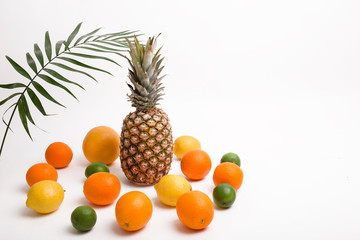 Pineapple, orange, lemon, grapefruit, lime, coconut and palm leaves on white background