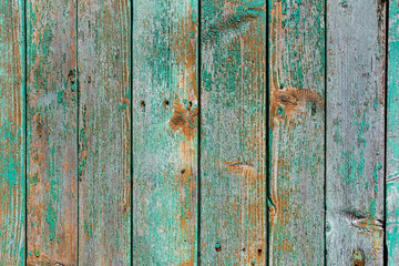 Fototapeta na wymiar Rustic wooden wall. Old painted planks in green color. Retro style background