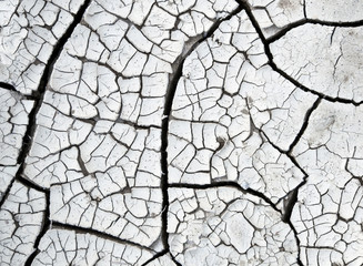 dried and cracked earth