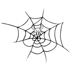 Spider on  web icon. Vector illustration spider web with a spider. Net, web, spider hand drawn.