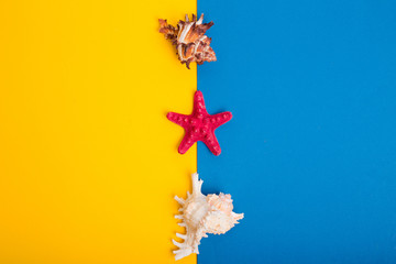 Tropical bright colorful background with sea shells and starfish