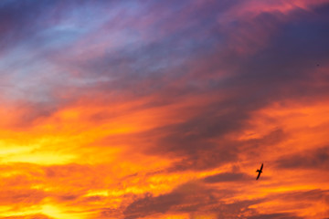 Beautiful sunset sky, colorful clouds.