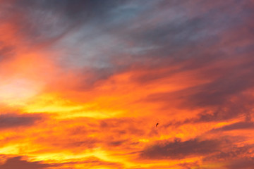 Beautiful sunset sky, colorful clouds.