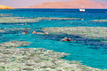 Vacation tourist snorkel  swimming snorkeling in paradise clear water banner panorama. Swim girl snorkeler in crystalline waters and coral reefs. Turquoise ocean background.