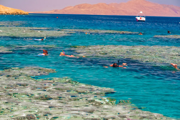 Vacation tourist snorkel  swimming snorkeling in paradise clear water banner panorama. Swim girl snorkeler in crystalline waters and coral reefs. Turquoise ocean background.