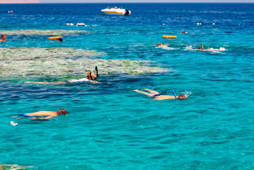 Vacation tourist snorkel  swimming snorkeling in paradise clear water banner panorama. Swim girl snorkeler in crystalline waters and coral reefs. Turquoise ocean background.
