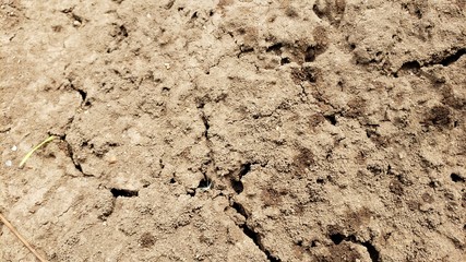 terra seca, árida, sem água, sem chuva, improdutivo