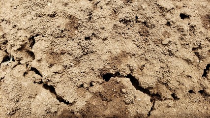 terra seca, árida, sem água, sem chuva, improdutivo