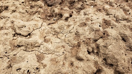 terra seca, árida, sem água, sem chuva, improdutivo