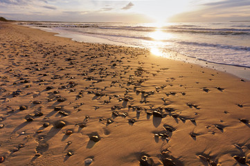 Sunrise on the sea coast. Sunset on the sea.