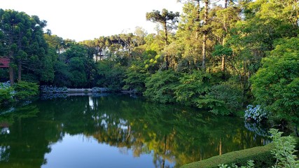lago no parque