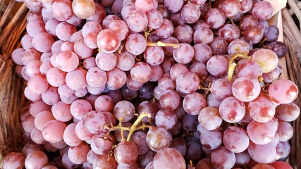 uvas rose
