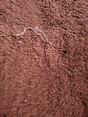 tapete, carpete, sala, casa, interior, sujo, marrom, vermelha, com sujeira, fio, tecelagem