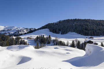 Paysage de montagne dans les Alpes 