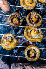barbecue on the nature in summer mushrooms kebab over charcoal