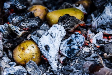 barbecue on the nature in the summer potatoes lie in hot coals