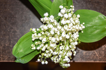 bouquet of flowers white lilies of the valley  green leaves