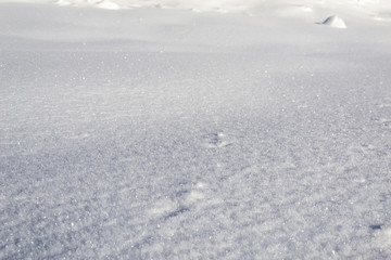 Fototapeta na wymiar Gros plan sur neige et traces de pas