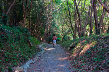 natural tunnel of Japan 