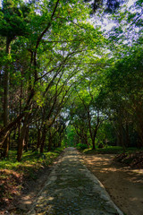natural tunnel of Japan 