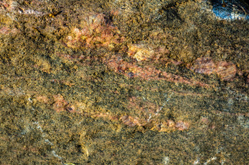 Texture of wild natural stone