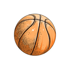 Vector drawing of basketball ball in color, isolated on white background. Graphic illustration, hand drawing. Drawing for posters, decoration and print. Vector illustration