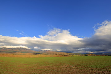 富良野の田園風景 ( 北海道 / 富良野市 / 秋 / 10月 )