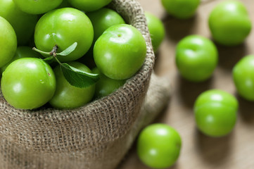 Fresh ripe organic green plums or greengage in burlap sack on wooden background, heap of may and june fruit, summer fruits concept