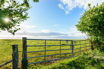 Fence and closed gate surrounding a country meadow on a sunny summer day
