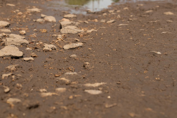 close-up of stones and wet sand on the outskirts of a puddle