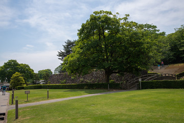 金沢城公園