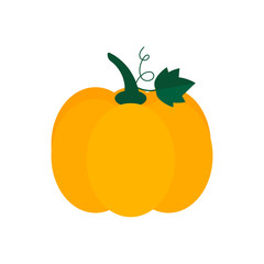 Pumpkin Illustration