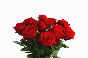 red roses bouquet on white background, fifteen flowers